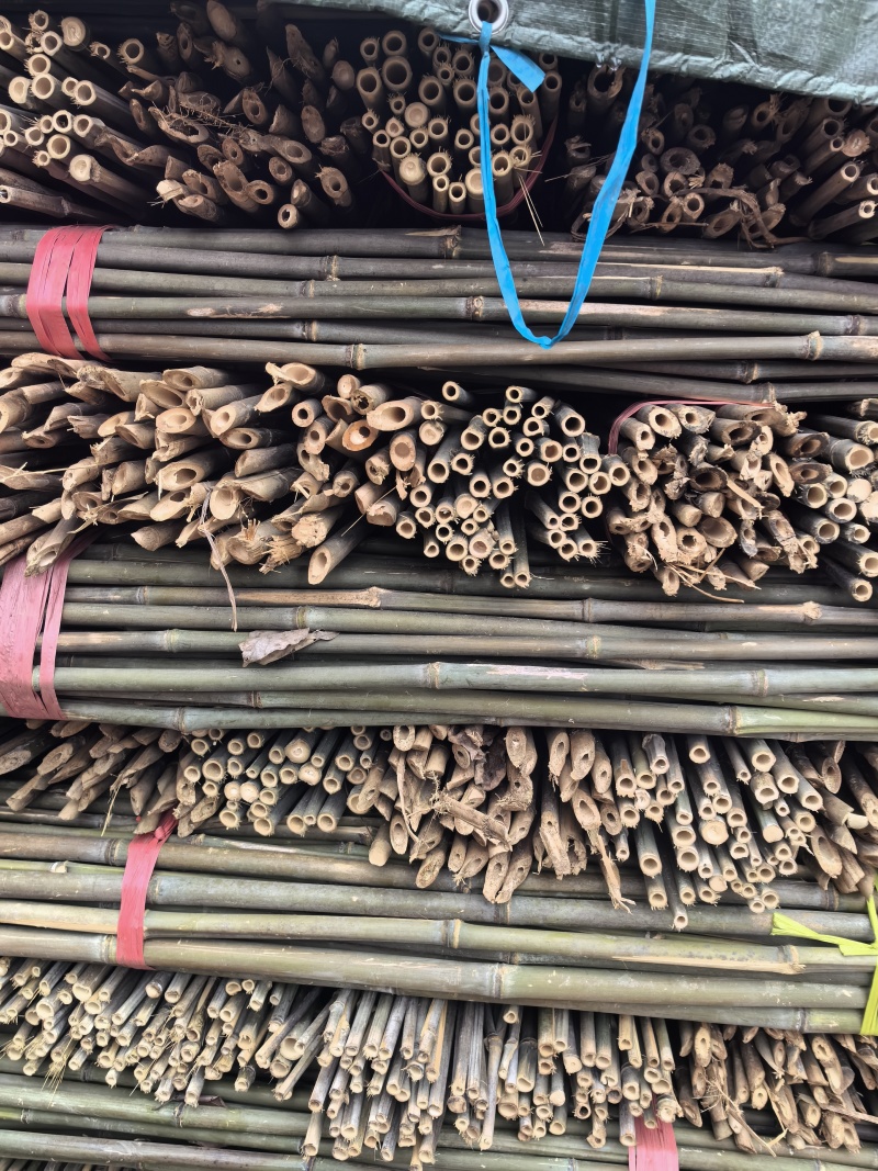菜架竹/豆角架，圣女果，辣椒，茄子，爬苗架杆