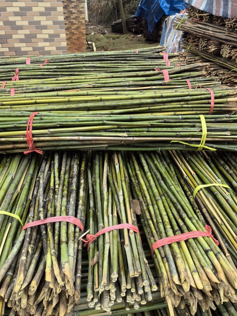 菜架竹/豆角架，圣女果，辣椒，茄子，爬苗架杆