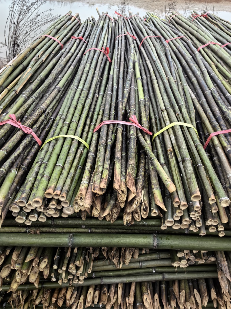 菜架竹/豆角架，圣女果，辣椒，茄子，爬苗架杆