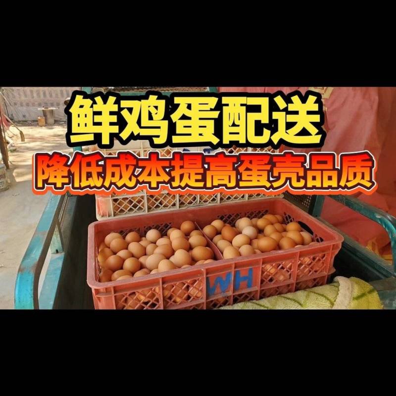 春雪养殖场