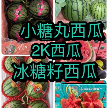 山东早春红玉西瓜直发，质量保证量大价优，视频看货欢迎致电