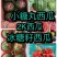 山东早春红玉西瓜直发，质量保证量大价优，视频看货欢迎致电