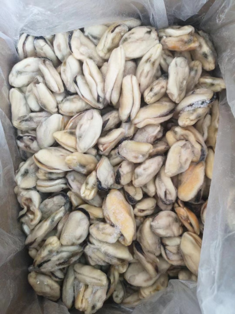 海虹肉鲜活现剥速冻青口贝新鲜贻贝肉淡菜肉去壳冷冻贝类海鲜