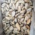 海虹肉鲜活现剥速冻青口贝新鲜贻贝肉淡菜肉去壳冷冻贝类海鲜