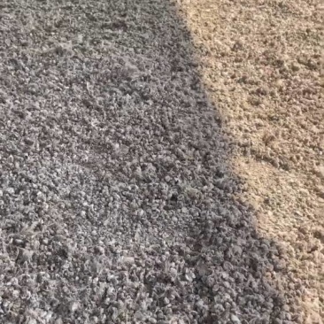 纯鹌鹑粪