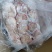 精品，小肚，厂家直销，