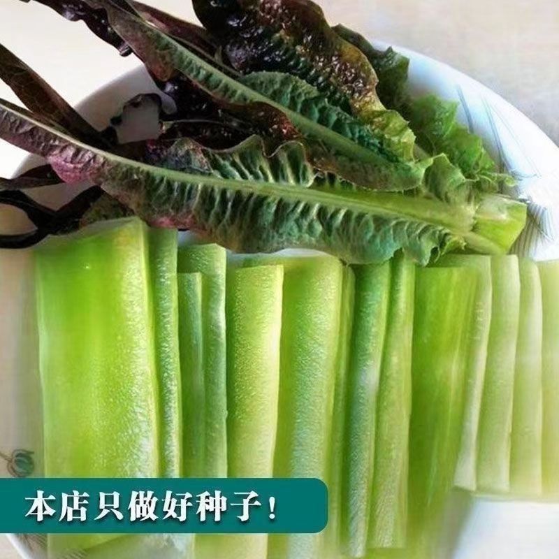 苗场基地直发，货源充足量大从优欢迎新老客户前来咨询订购！