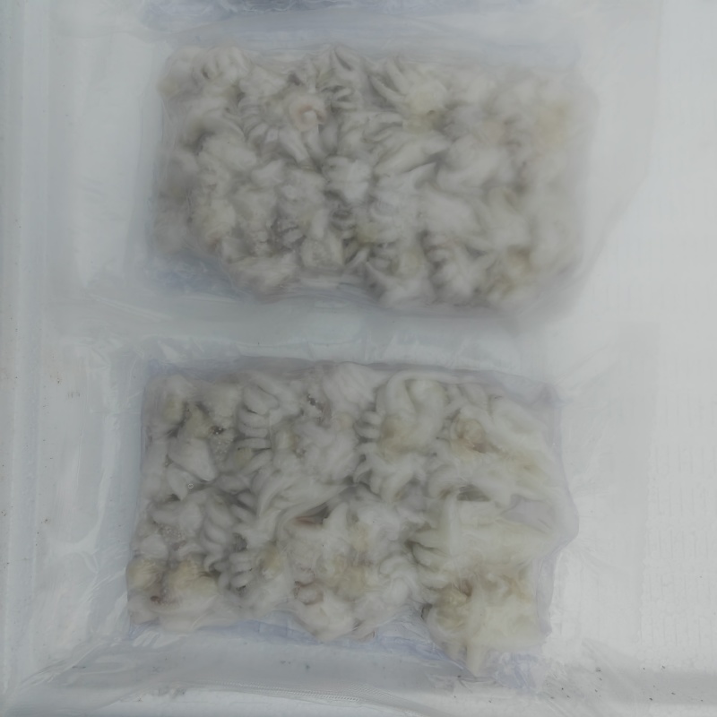 冷冻海菊花墨鱼仔头500g酒店海鲜水产烧烤半成品大排档食