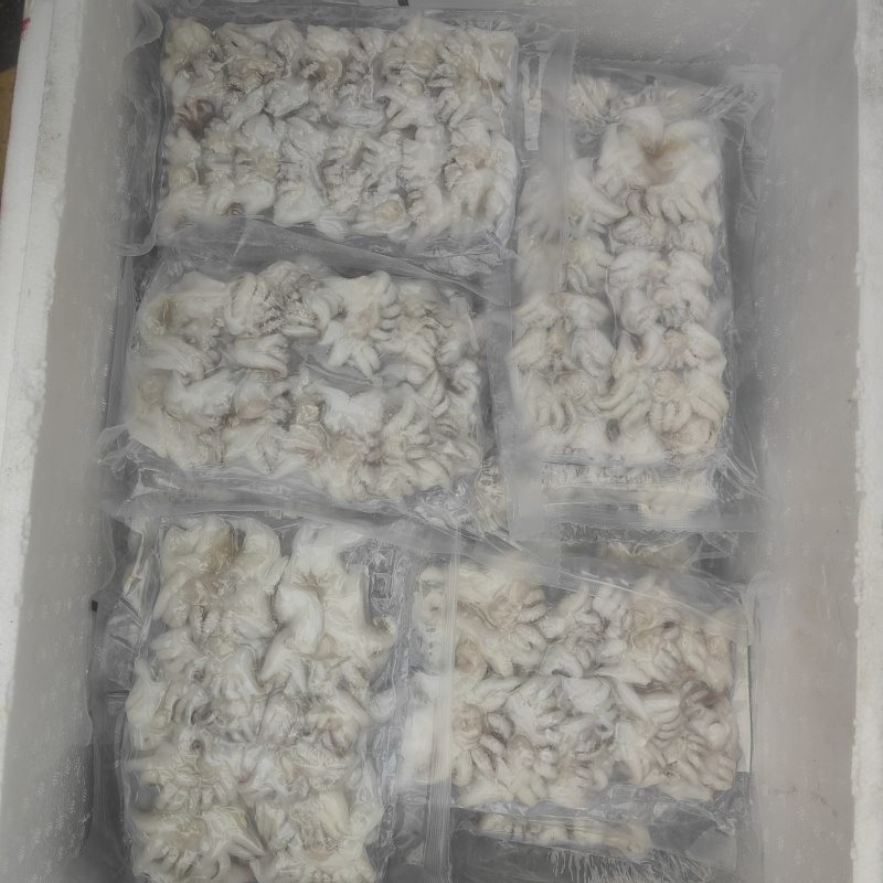 冷冻海菊花墨鱼仔头500g酒店海鲜水产烧烤半成品大排档食