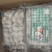 冷冻海菊花墨鱼仔头500g酒店海鲜水产烧烤半成品大排档食