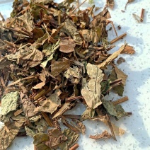野生鱼腥草新货正品折耳根新鲜干货包邮当天发货