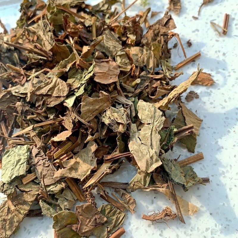 野生鱼腥草新货正品折耳根新鲜干货包邮当天发货