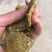净粮豆饼棉籽豆饼价格绝对没问题