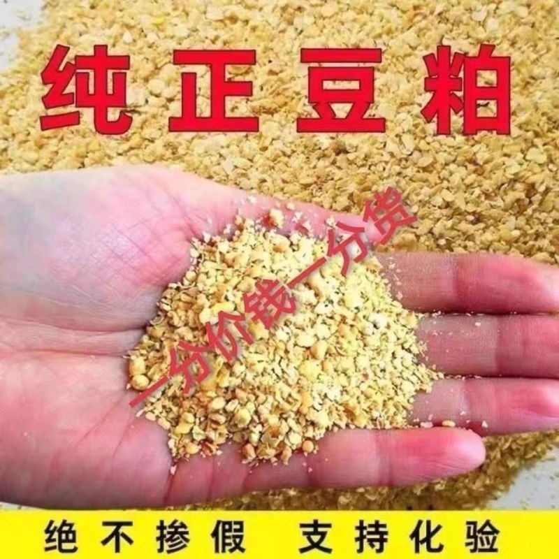 净粮豆饼棉籽豆饼价格绝对没问题