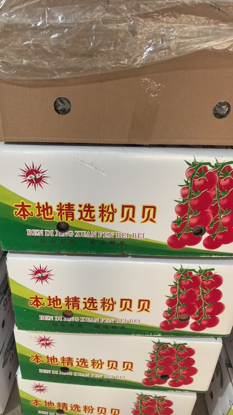 串串圣女果，产地直发，诚信经营，可对接电商超市等