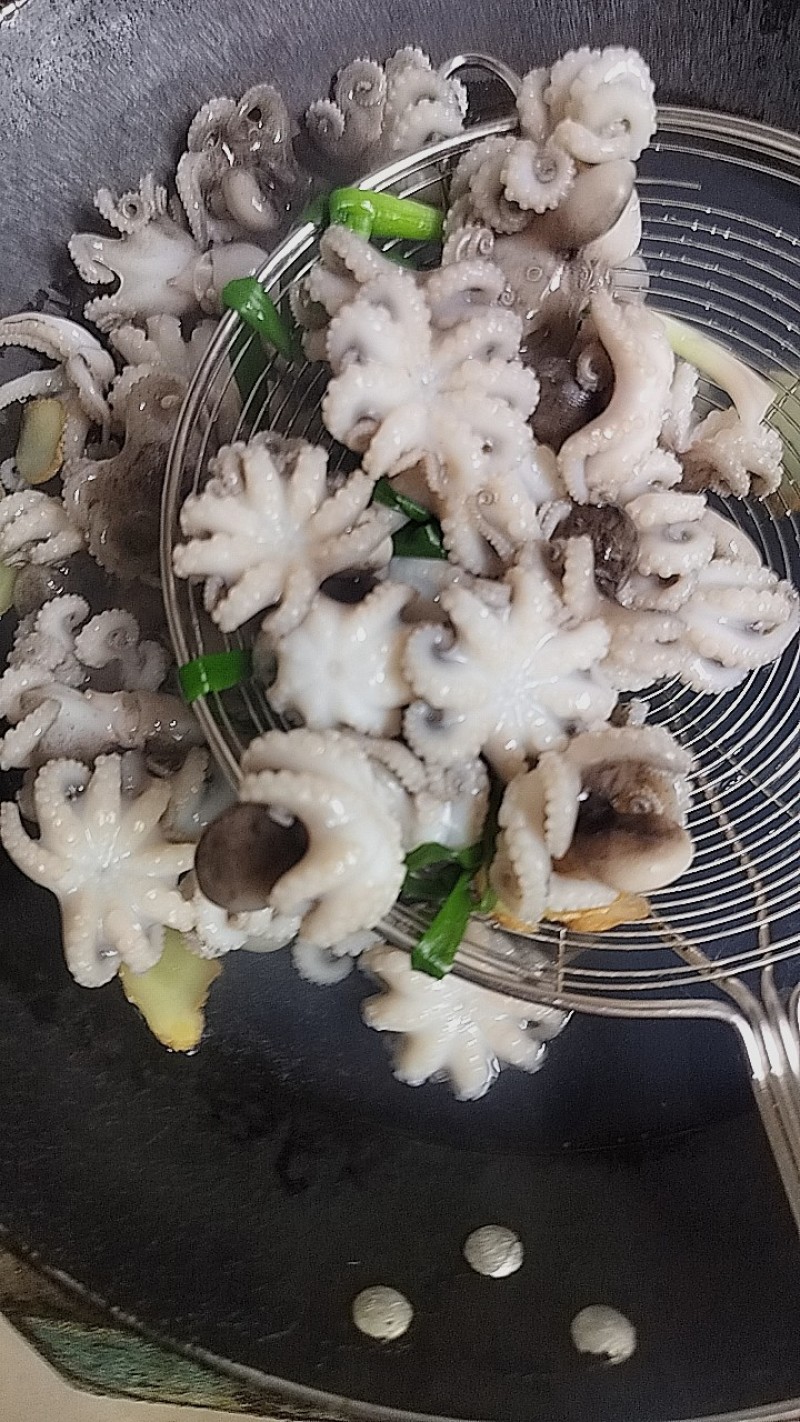 小八爪鱼