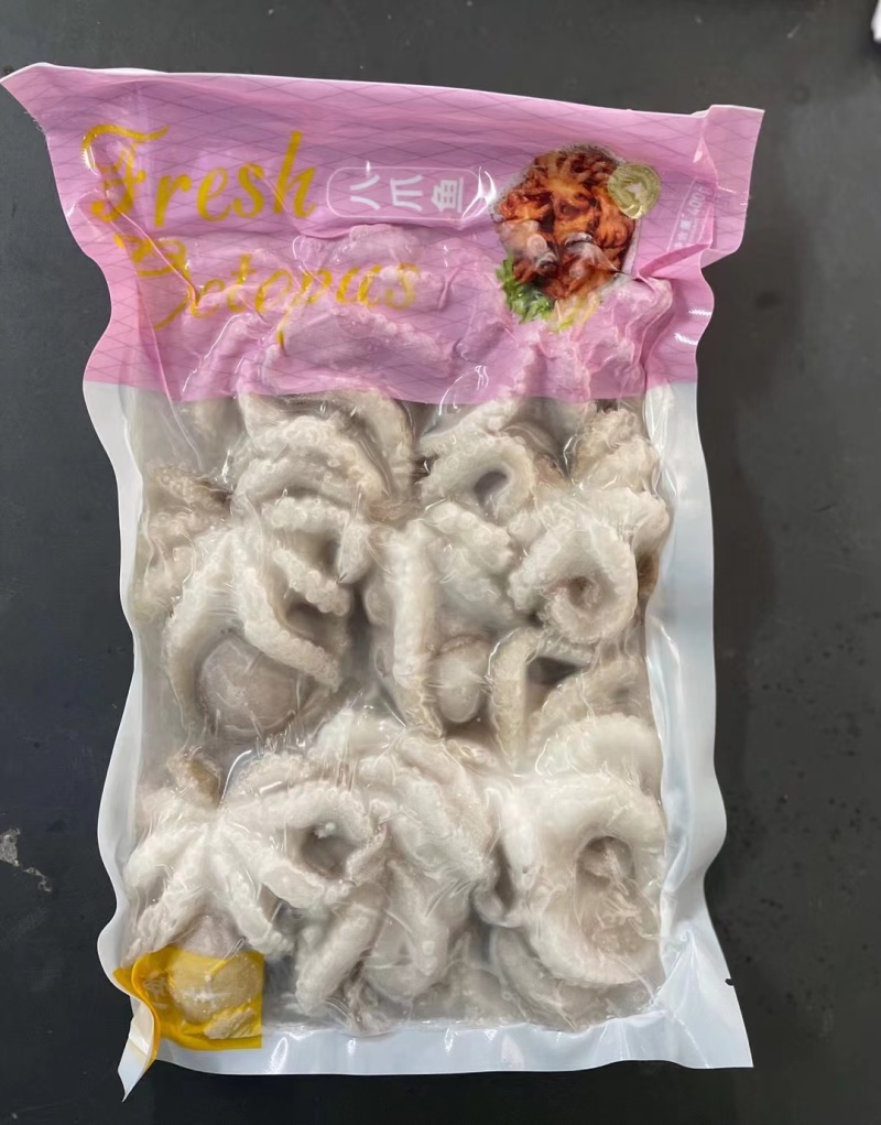 小八爪鱼
