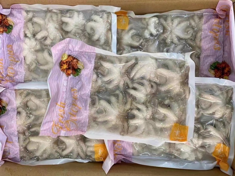小八爪鱼