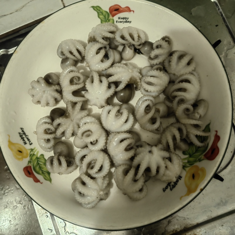 小八爪鱼