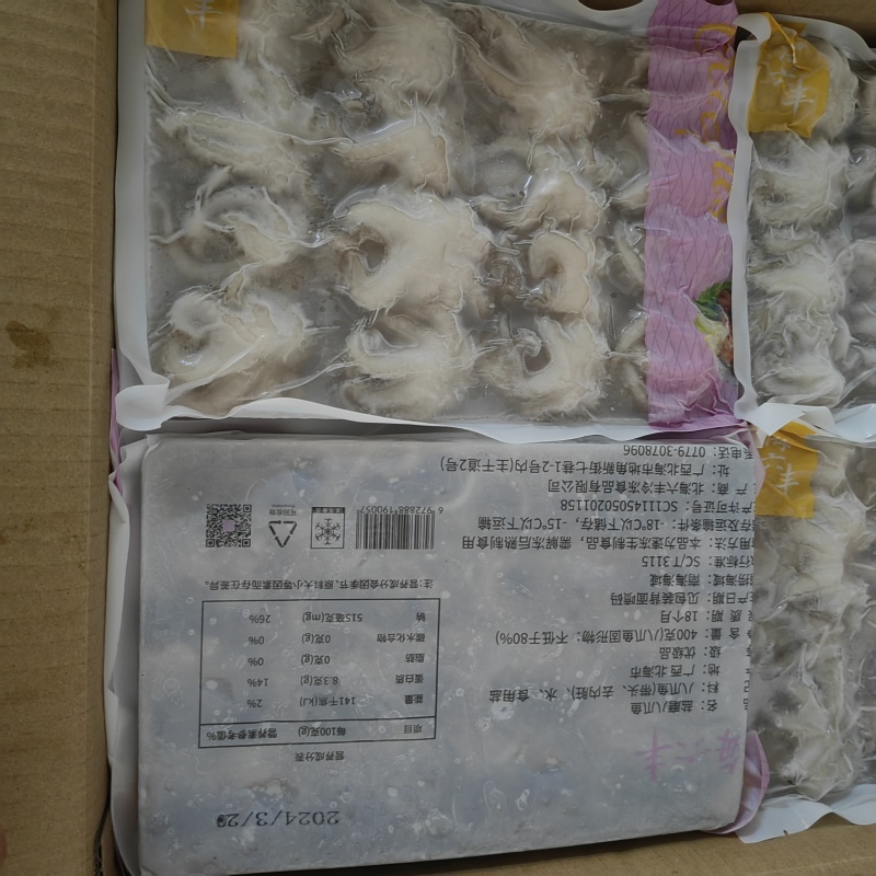 小八爪鱼