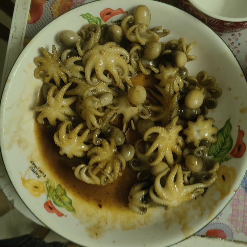 小八爪鱼
