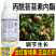 江苏龙灯爱增美0.003%丙酰芸苔素内酯生长调节剂