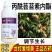 江苏龙灯爱增美0.003%丙酰芸苔素内酯生长调节剂
