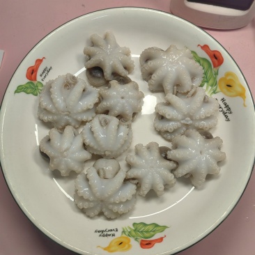 小八爪鱼