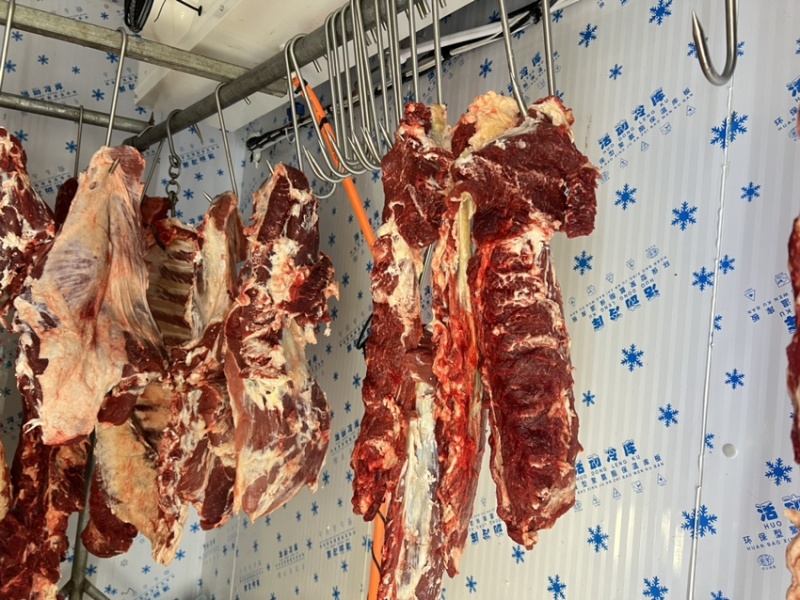 纯干鲜牛肉，排酸大公牛