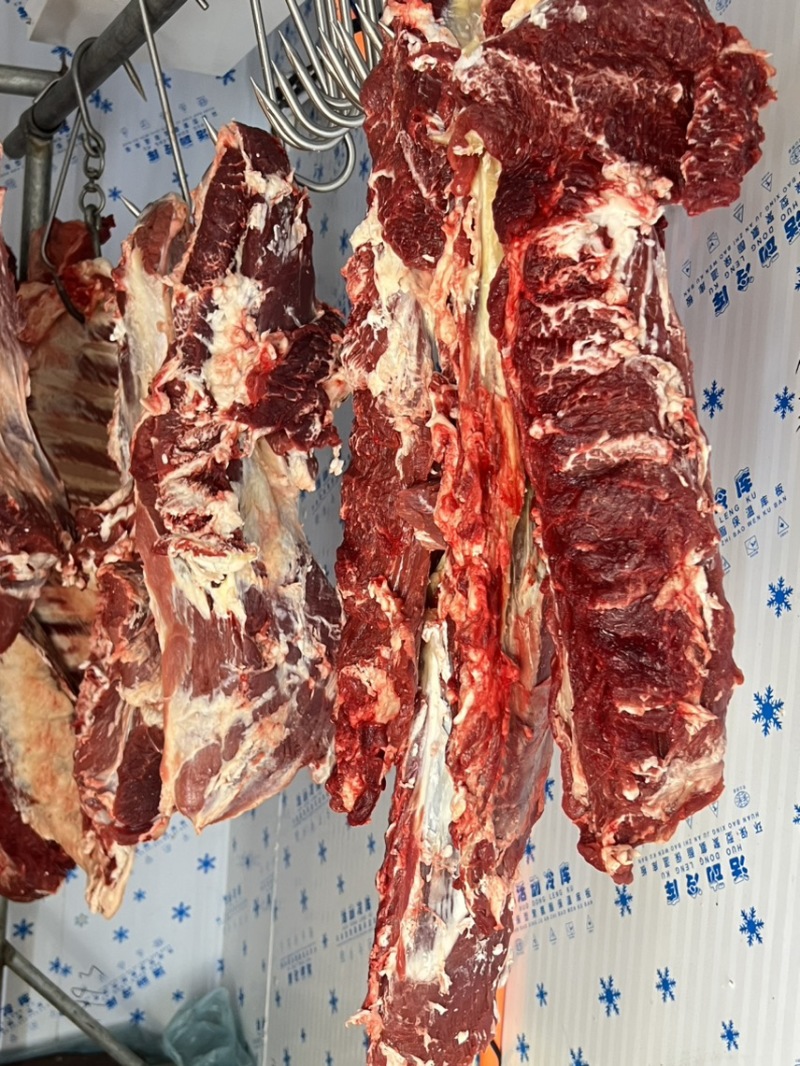 纯干鲜牛肉，排酸大公牛