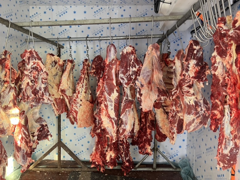 纯干鲜牛肉，排酸大公牛
