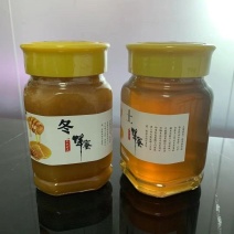 蜂蜜包邮广西九龙腾蜂蜜产地直供品质保证优惠
