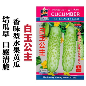 白玉公主黄瓜种子奶油黄瓜高产香味白玉水果黄瓜种子清脆味浓