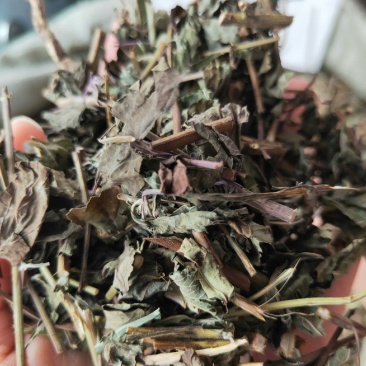 山区冬凌草，茎叶干货，量大价格可谈，可长期供货，欢迎咨询
