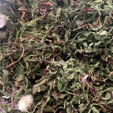 野蒲公英，全草干货，量大价格优惠，可长期供货，欢迎咨询！