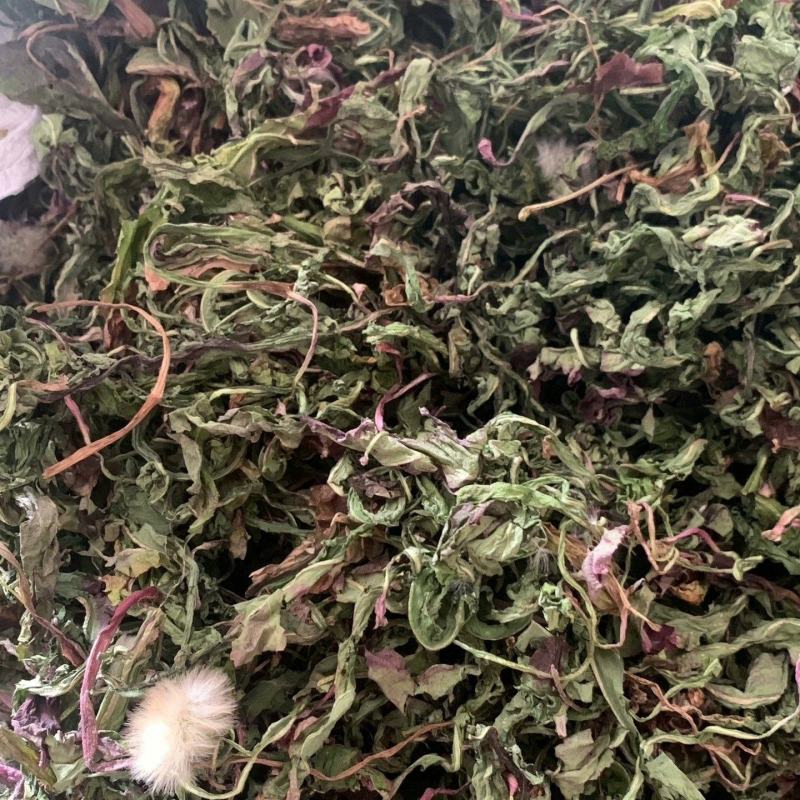 野蒲公英，全草干货，量大价格优惠，可长期供货，欢迎咨询！