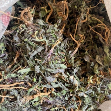 紫花地丁，全草干货，量大价格可谈，欢迎咨询！