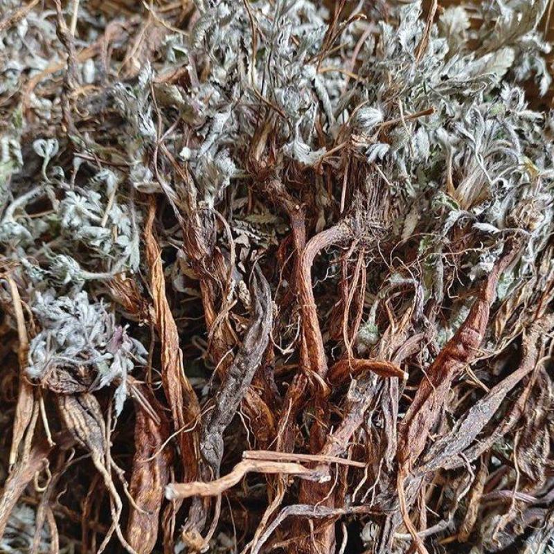 翻白草，也叫鸡腿参，全草干货，量大价格可谈，欢迎咨询