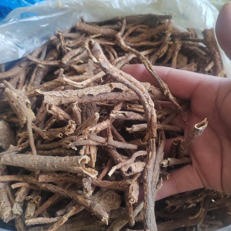 野杠柳的根皮，香加皮，北五加皮，种子也采的有。