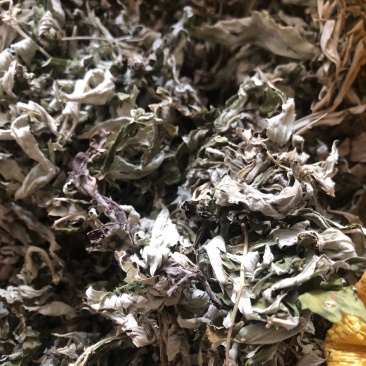 伏牛山大叶艾，可根据需求做规格，采的种子，根苗也有。
