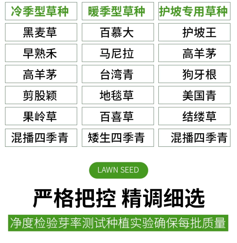 紫羊茅草种子进口草坪绿化草籽庭院护坡复绿耐寒草籽