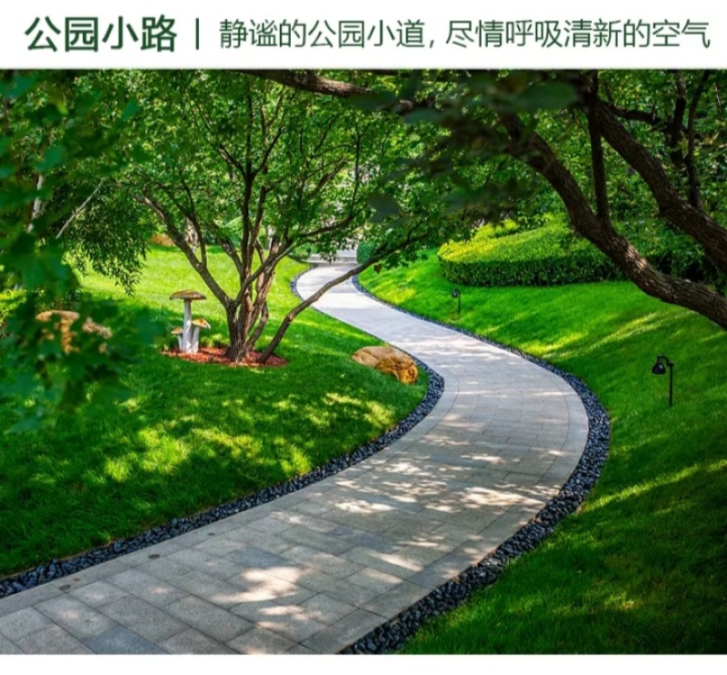 紫羊茅草种子进口草坪绿化草籽庭院护坡复绿耐寒草籽
