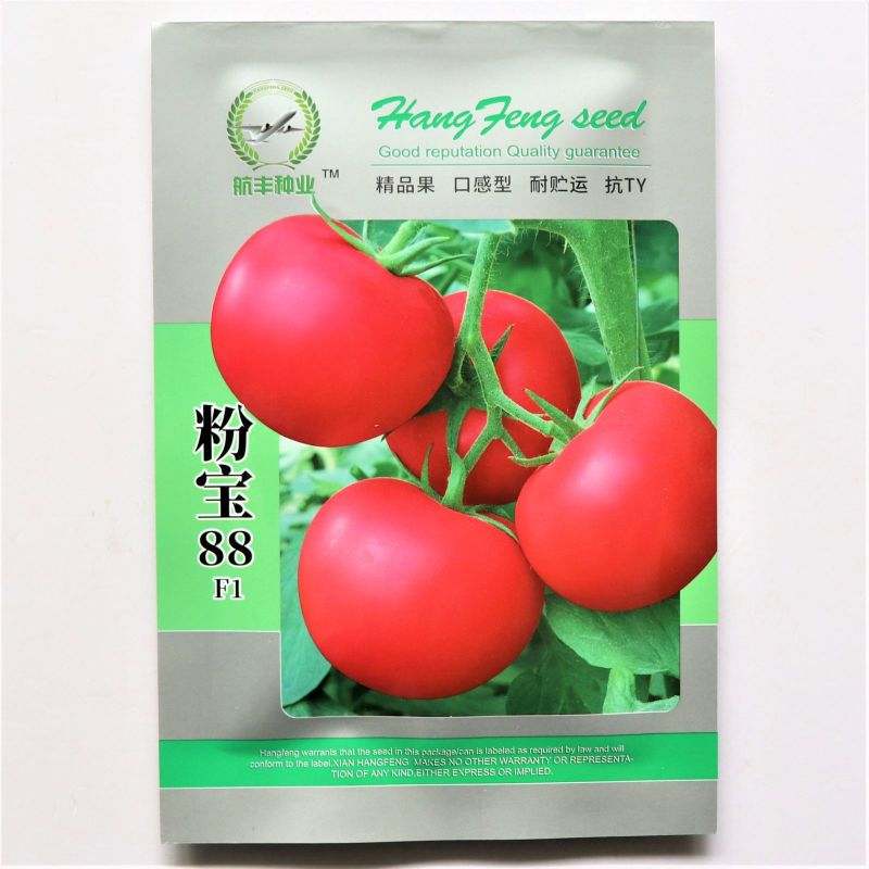 粉宝88粉红番茄种子早熟无限生长型硬果耐裂西红柿种籽