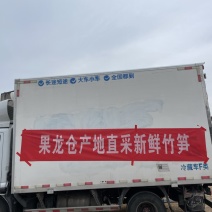 江西雷竹笋批发零售天然食品回味无穷口感好