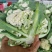 有机花菜菜花基地直供现货随装量大从优全国代发欢迎来电