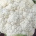 有机花菜菜花基地直供现货随装量大从优全国代发欢迎来电