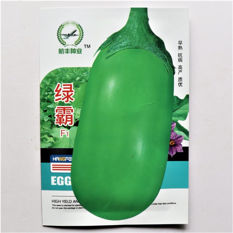 绿霸绿茄子种子油绿大果早熟高产抗病商品性佳