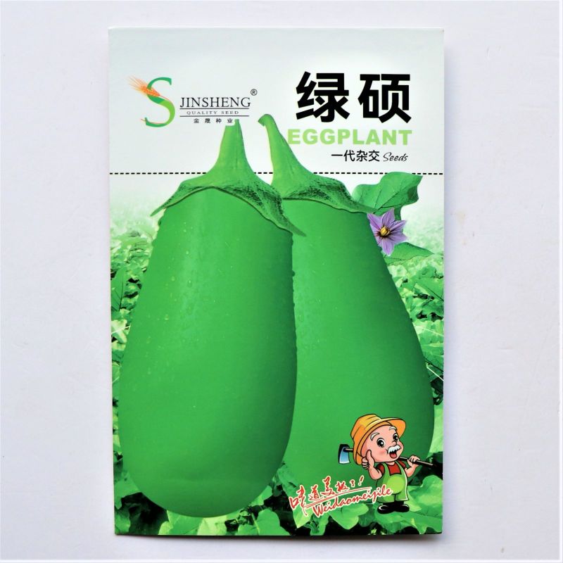 绿硕一代杂交中早熟绿茄种子颜色嫩绿果实籽少果肉口感绵软