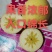 维纳斯黄金苹果辽宁宽甸县产地直供品质保证欢迎来电