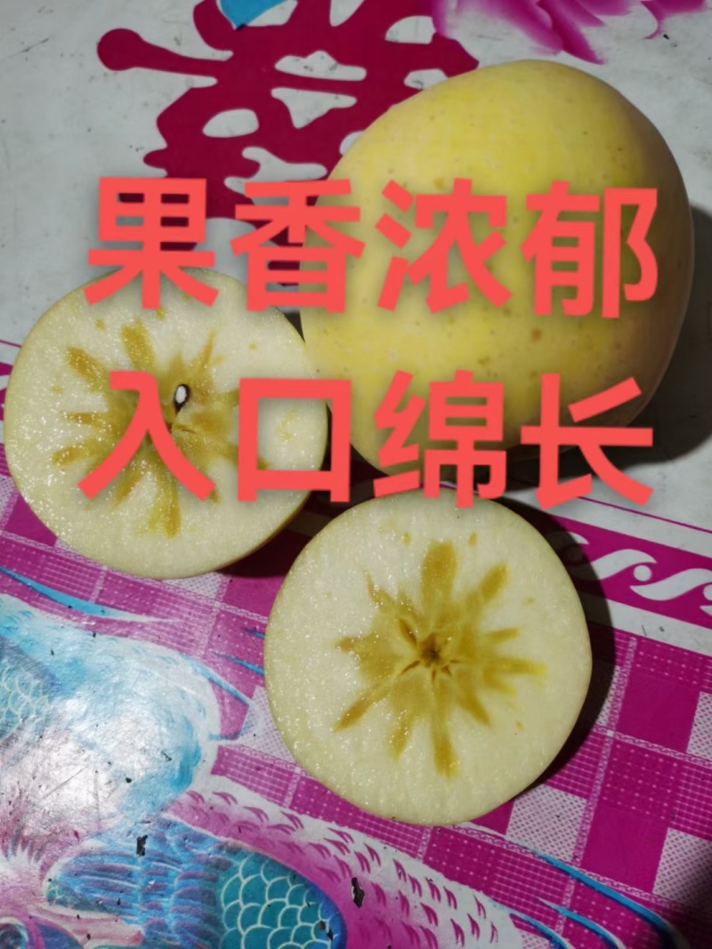 维纳斯黄金苹果辽宁宽甸县产地直供品质保证欢迎来电